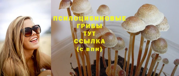 прущая мука Пролетарск