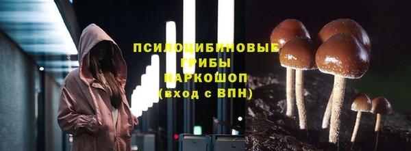соль ск Приозерск