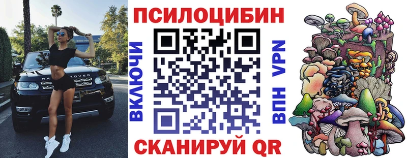 Купить закладки  Малаховка  Псилоцибиновые грибы мухоморы 